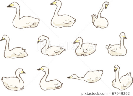 圖標樣式放鬆天鵝 67949262