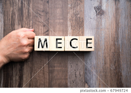 Image MECE Image MECE 67949724