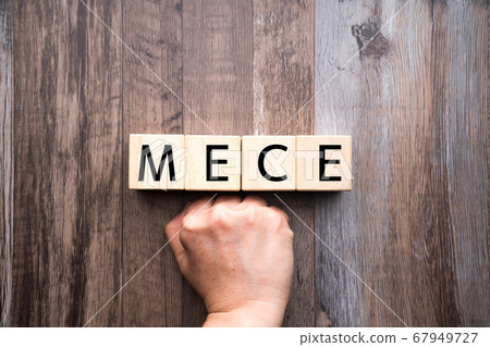 圖像MECE 67949727