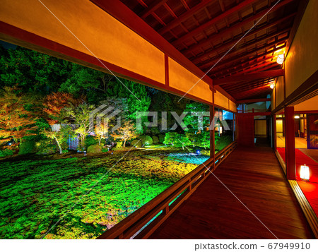 Autumn leaves and light up of Seishinin 67949910