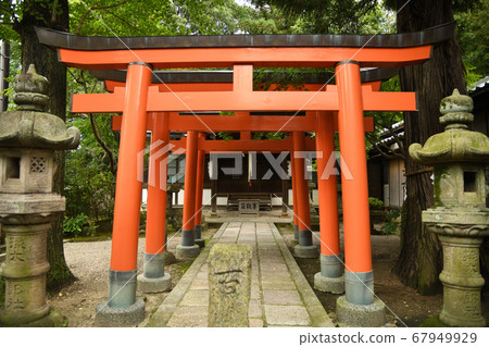 Suntaro Inari Shrine 67949929