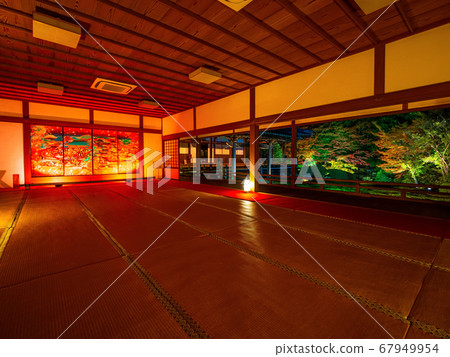 秋葉和Seishinin點亮 67949954