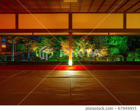 Autumn leaves and light up of Seishinin Autumn leaves and light up of Seishinin 67949955