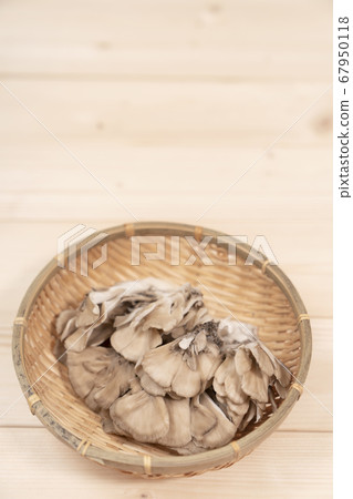 Maitake copy space 67950118