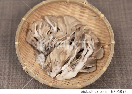 Maitake複製空間 67950583