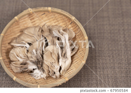 Maitake複製空間 67950584