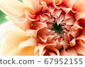 Signs of early summer when heart becomes rich 67952155