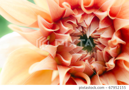 Signs of early summer when heart becomes rich Signs of early summer when heart becomes rich 67952155