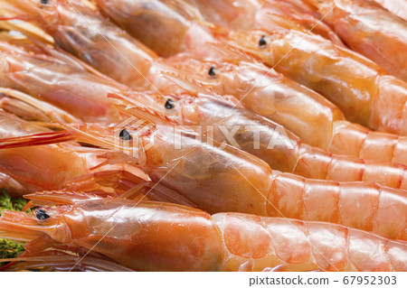 Prawn shrimp Prawn shrimp 67952303