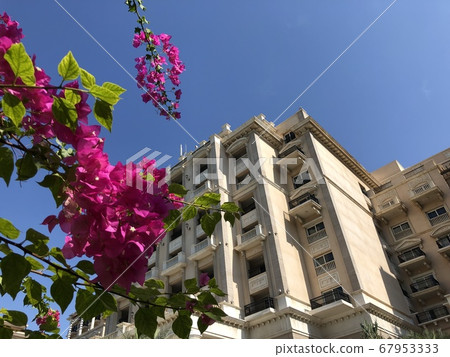 Flowers, hotel and blue sky Flowers, hotel and blue sky 67953333