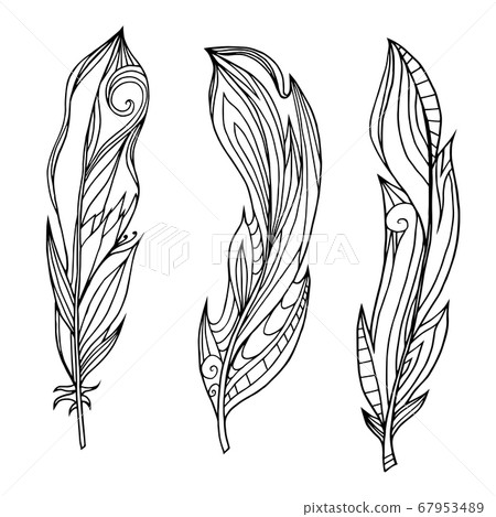 Set of hand drawn feathers with boho pattern. Tribal doodle elements. Vector element 67953489