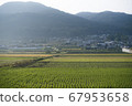 A relaxing countryside scene 67953658
