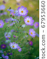 A relaxing countryside scene 67953660