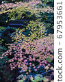 Moment of peace of mind and autumn colors 67953661