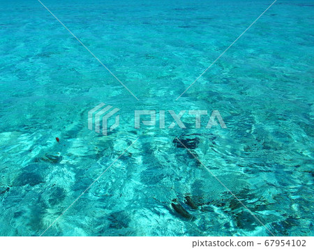 Water surface of Bora Bora 67954102