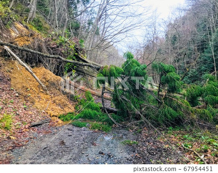 Mudslide 67954451