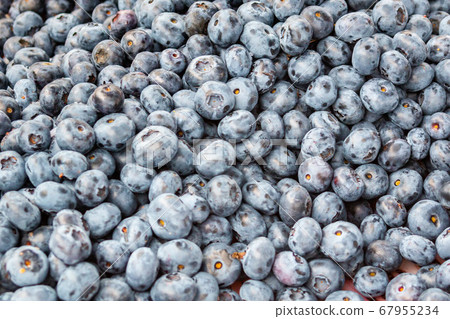 Solid background of fresh ripe and natural blueberries Solid background of fresh ripe and natural blueberries 67955234
