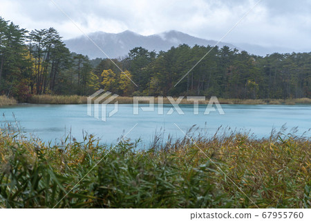 Urabandai Autumn Goshikinuma 67955760