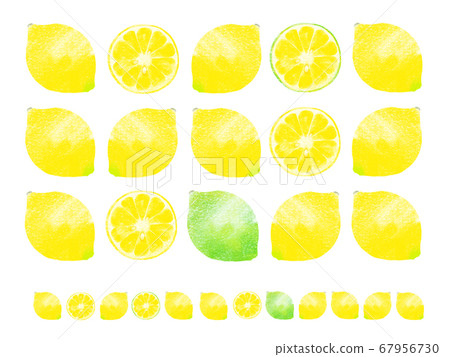 ptn_ lemon ptn_ lemon 67956730