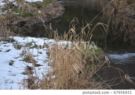 Landscape with Kingfishers Landscape with Kingfishers 67956931