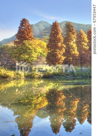 秋天的落葉和蘇門阿爾卑斯山的景觀[垂直構圖] 67958447