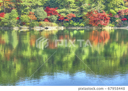 Shuhogahara池塘的秋景，再次是公園 67958448