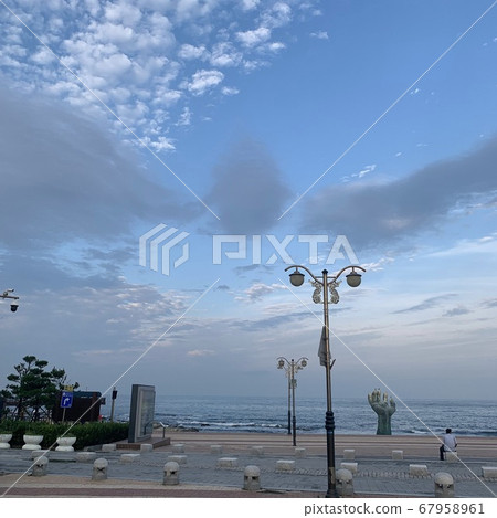 束草Homigot 67958961