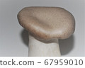 Eringi 67959010