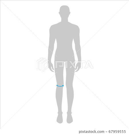 Men measurements fashion. 67959555
