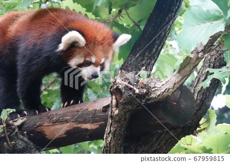 下面有東西嗎？ 67959815