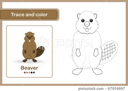 Drawing worksheet Trace and colour Drawing worksheet Trace and colour 67959997
