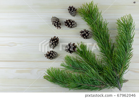 Christmas composition: fresh pine branches with cones on a white background. The view from the top. place for your text. 67962046