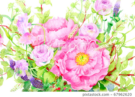 Peony and rose flower arrangement 67962620