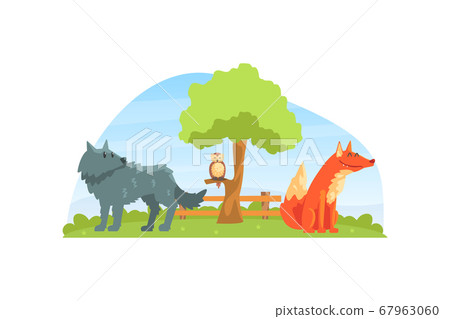 Wild Animals on Beautiful Natural Landscape, Wolf, Fox and Owl in the Zoo or Safari Park Vector Illustration Wild Animals on Beautiful Natural Landscape, Wolf, Fox and Owl in the Zoo or Safari Park Vector Illustration 67963060