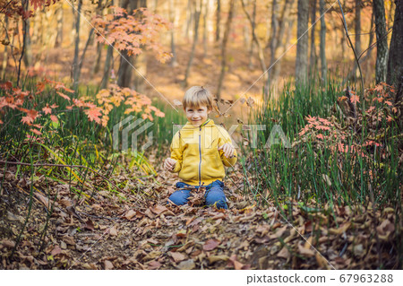 Portrait of little smiling child on head background of sunny autumn park 67963288