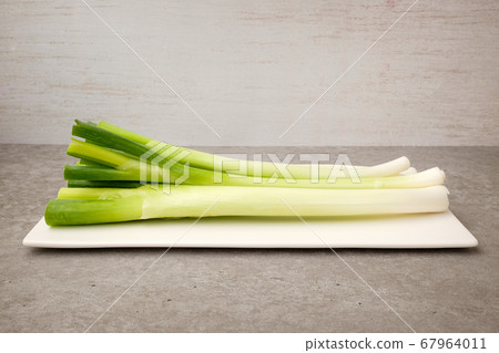 Green onion 67964011