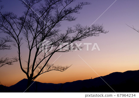 Landscape of Glow 67964234