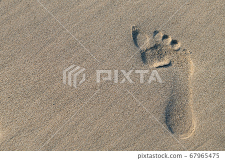 在沙灘上的腳印 67965475