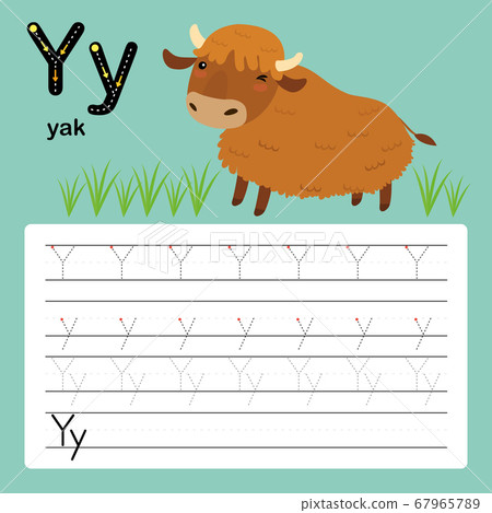 Y, yak, Alphabet tracing worksheet for preschool and kindergarten to improve basic writing skills, vector, illustration  67965789