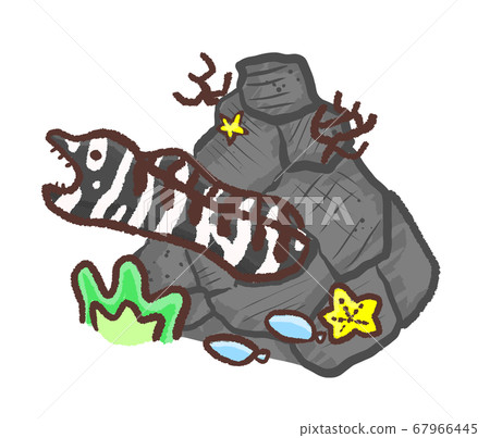 R: A more fairy tale aquarium Zebra Moray 1 67966445