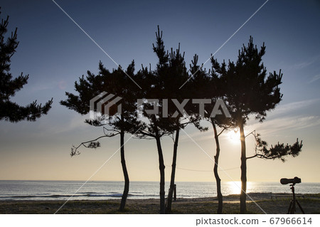 東海美麗的早晨 東海美麗的早晨 67966614