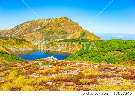 Murodo autumn scenery, Mikurigaike [Toyama Prefecture] 67967349