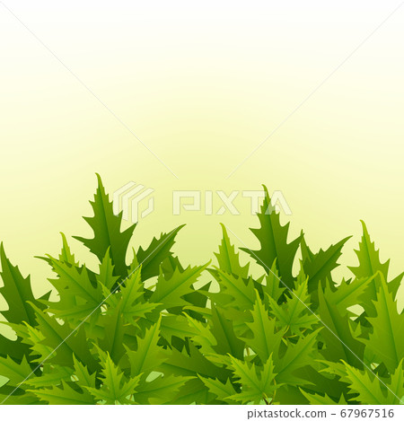 A simple pattern of leaves. White background, green maple leaves. The print is well suited for textiles, banner and Wallpaper. A simple pattern of leaves. White background, green maple leaves. The print is well suited for textiles, banner and Wallpaper. 67967516