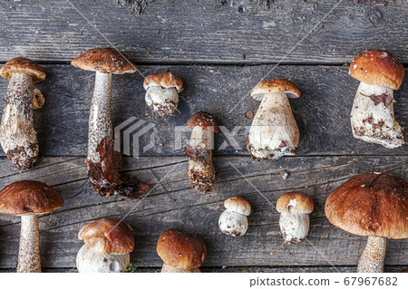 Autumn fall composition. Variety raw edible 67967682