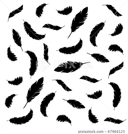 feathers background feathers background 67968125