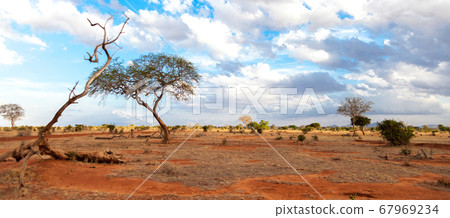 Scenery of the savannah of Kenya, on safari Scenery of the savannah of Kenya, on safari 67969234