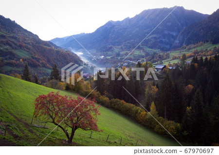 beautiful view of the valley with fog beautiful view of the valley with fog 67970697