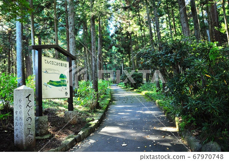 大山山西條寺天狗之道 大山山西條寺天狗之道 67970748