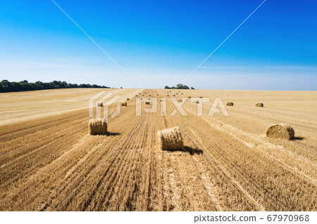 aerial view  Round Bales at the field 67970968