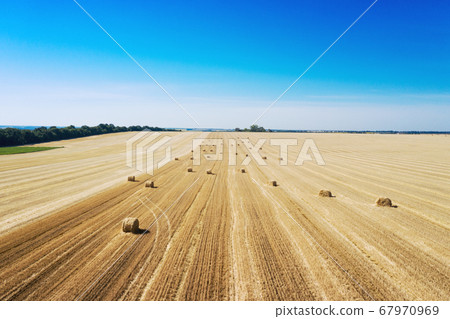 aerial view  Round Bales at the field 67970969